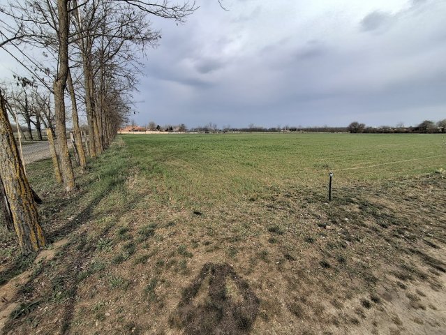 Eladó mezogazdasagi ingatlan, Cegléden 11.9 M Ft