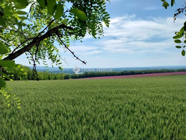 Eladó telek, Alsópáhokon 149.5 M Ft / költözzbe.hu