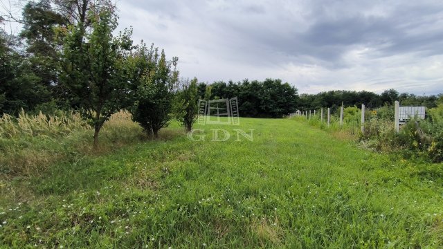 Eladó telek, Beleznán 3.3 M Ft / költözzbe.hu