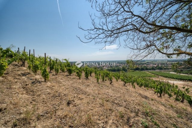 Eladó mezogazdasagi ingatlan, Tokajban 48.88 M Ft