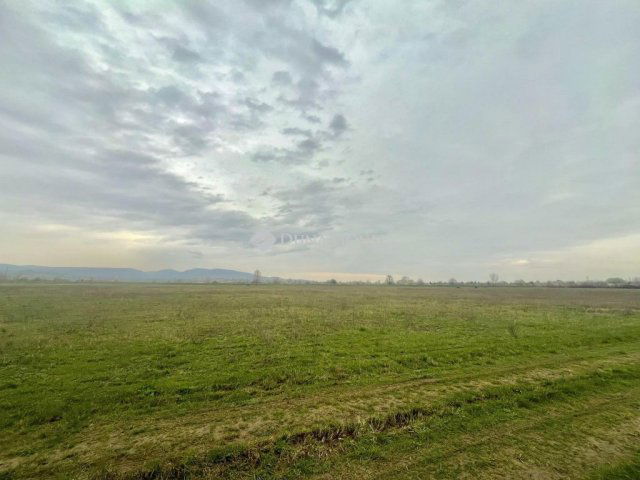Eladó telek, Pomázon 55 M Ft / költözzbe.hu