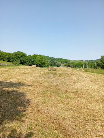Eladó mezogazdasagi ingatlan, Szekszárdon 36 M Ft