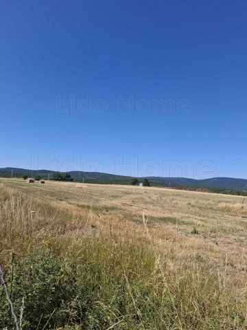 Eladó ipari ingatlan, Márkón 160 M Ft / költözzbe.hu