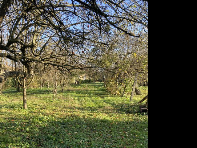 Eladó családi ház, Lentiben 43.9 M Ft, 3 szobás