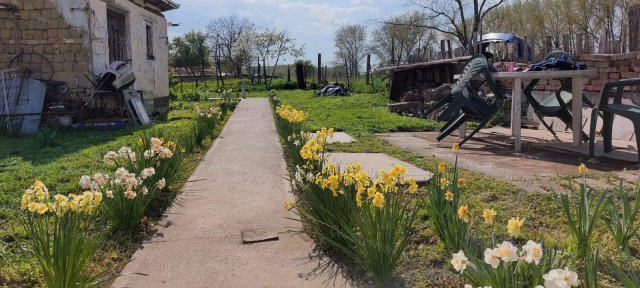 Eladó családi ház, Tószegen 11.5 M Ft, 2 szobás