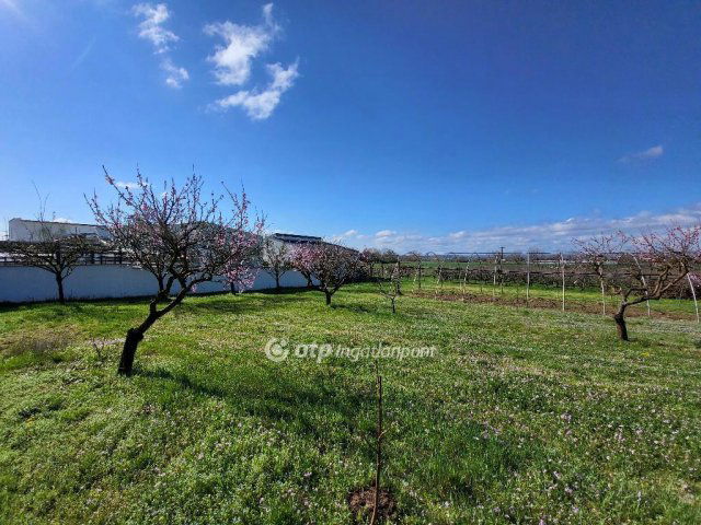 Eladó telek, Siófokon 127 M Ft / költözzbe.hu