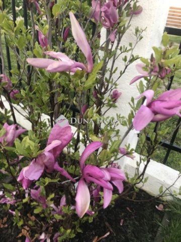 Eladó ikerház, Délegyházán 120 M Ft, 3 szobás