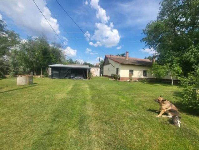 Eladó mezogazdasagi ingatlan, Szegeden 39 M Ft