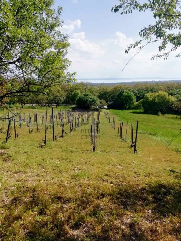 Eladó telek, Balatonfüreden 49.9 M Ft / költözzbe.hu