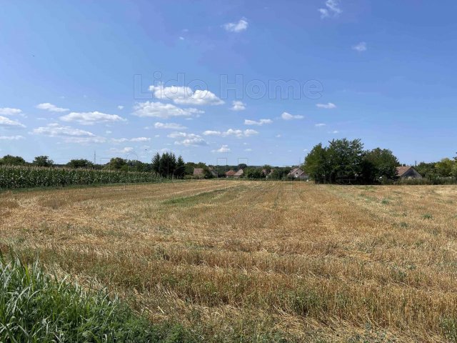 Eladó mezogazdasagi ingatlan, Balatonszabadiban 9.999 M Ft