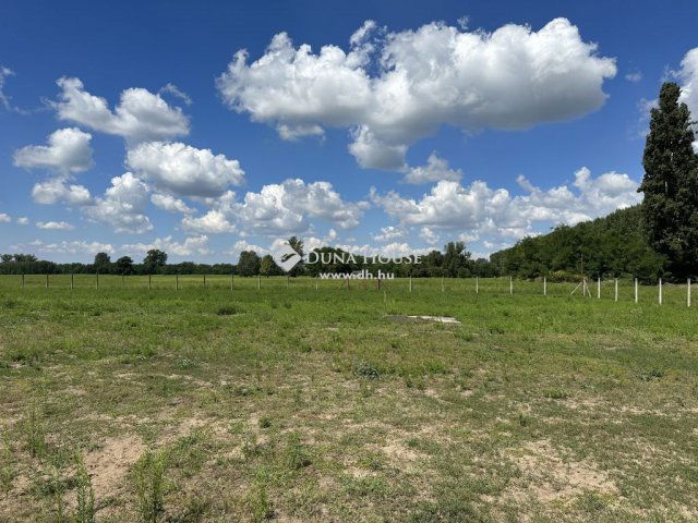 Eladó mezogazdasagi ingatlan, Monoron 200 M Ft