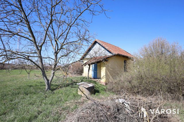 Eladó telek, Gyulán 8.9 M Ft / költözzbe.hu