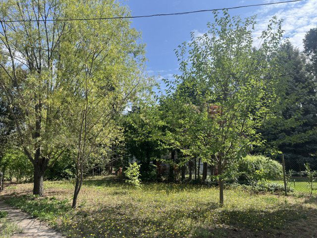 Eladó családi ház, Szegeden, Áfonya utcában 25.9 M Ft