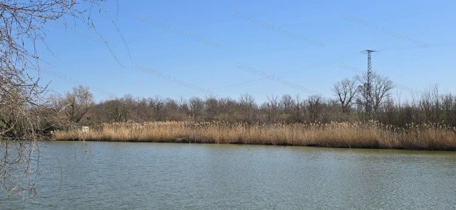 Eladó telek, Kunszentmártonban 12.8 M Ft / költözzbe.hu