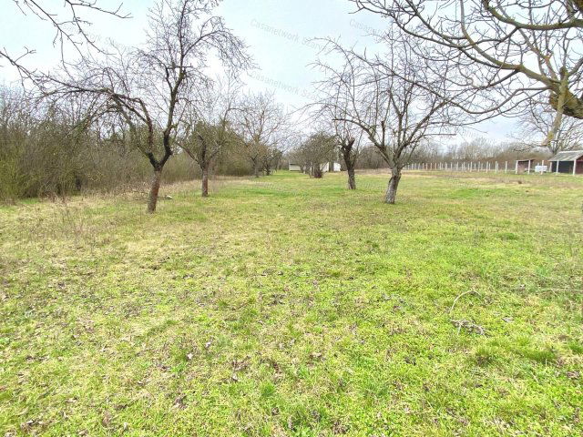 Eladó mezogazdasagi ingatlan, Gyomaendrődön 4.3 M Ft, 1 szobás