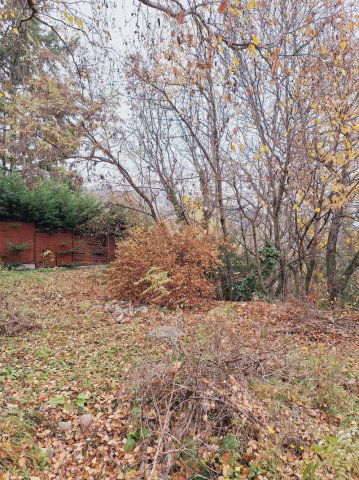 Eladó telek, Szentendrén 38.9 M Ft / költözzbe.hu