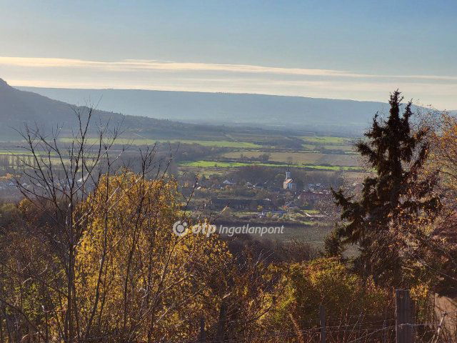 Eladó mezogazdasagi ingatlan, Gyulakeszin 35 M Ft