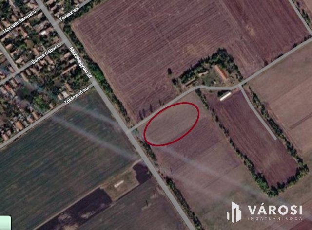Eladó mezogazdasagi ingatlan, Tótkomlóson 20.6 M Ft