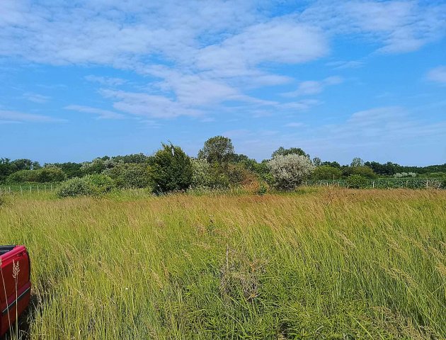 Eladó mezogazdasagi ingatlan, Nyíregyházán 5.99 M Ft
