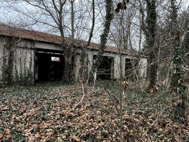 Eladó családi ház, Kiskőrösön 18 M Ft, 1+1 szobás