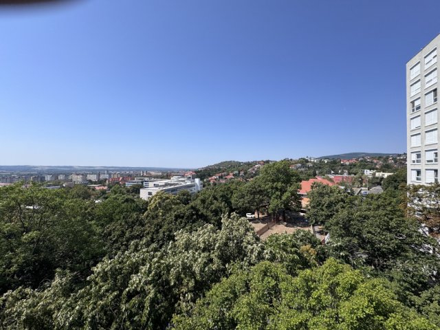 Eladó téglalakás, Pécsett 41.5 M Ft, 1+1 szobás
