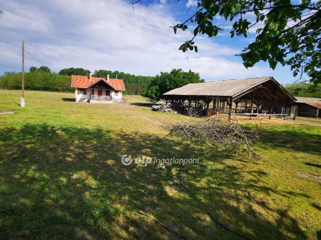 Eladó mezogazdasagi ingatlan, Örkényen 110 M Ft