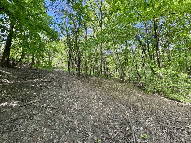 Eladó telek, Bazsiban 8 M Ft / költözzbe.hu