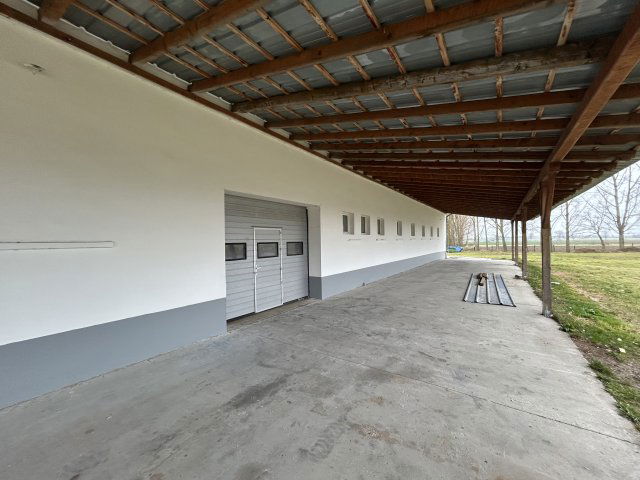 Kiadó ipari ingatlan, Gyarmaton 360 E Ft / hó
