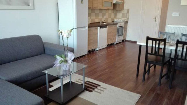 Kiadó téglalakás, albérlet, XIV. kerületben, Hungária körúton