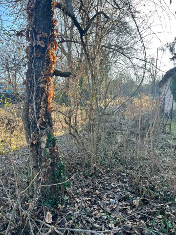 Eladó telek, Budapesten, XI. kerületben 260 M Ft