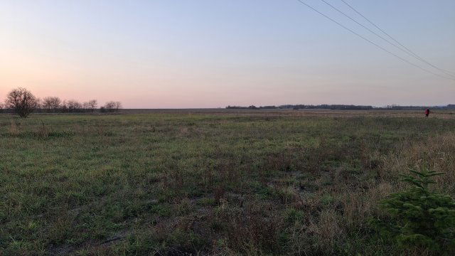 Eladó telek, Pécsudvardon 13.9 M Ft / költözzbe.hu