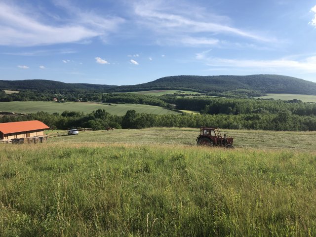 Eladó telek, Bakonyszentkirályon 180 M Ft / költözzbe.hu