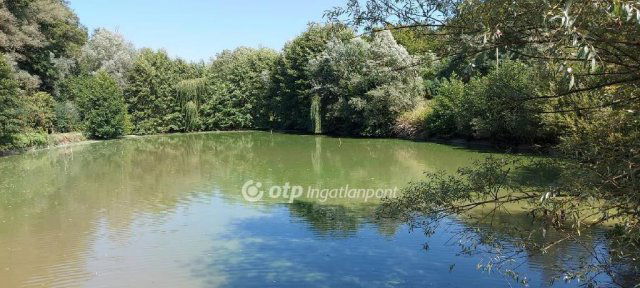 Eladó mezogazdasagi ingatlan, Garén 107.525 M Ft