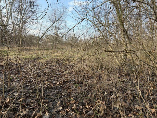 Eladó telek, Tatán 8.9 M Ft / költözzbe.hu