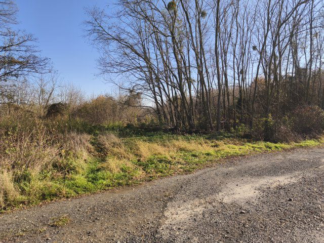 Eladó telek, Nagypálin 85 M Ft / költözzbe.hu