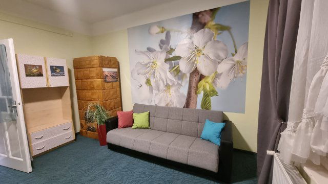 Kiadó családi ház, albérlet, Szegeden 150 E Ft / hó, 1 szobás