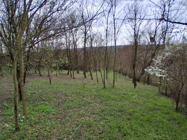 Eladó telek, Szentgyörgyváron 5.5 M Ft / költözzbe.hu