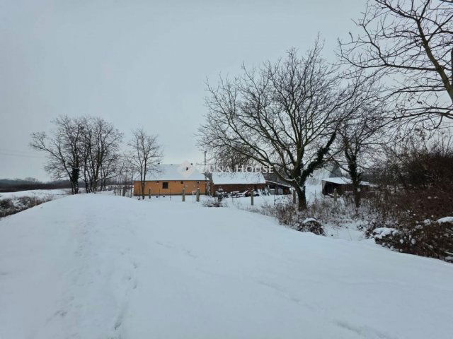 Eladó mezogazdasagi ingatlan, Szigetváron 65 M Ft, 4 szobás