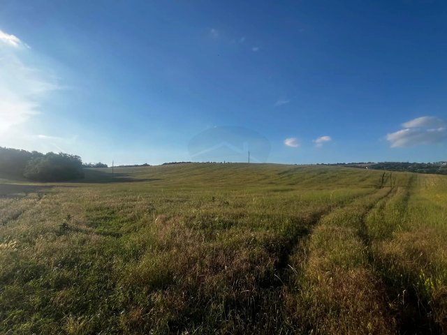 Eladó mezogazdasagi ingatlan, Szomódon 10.8 M Ft