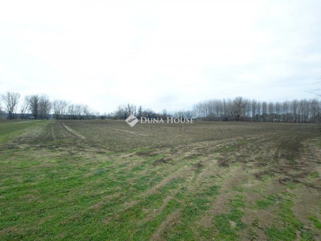 Eladó telek, Pilisen 7.5 M Ft / költözzbe.hu