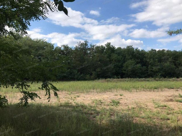 Eladó telek, Lajosmizsén 200 M Ft / költözzbe.hu