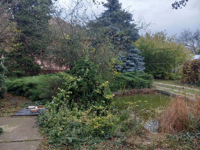 Eladó családi ház, Gádoroson 19.9 M Ft, 3 szobás