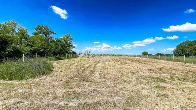 Eladó telek, Ádándon 22 M Ft / költözzbe.hu