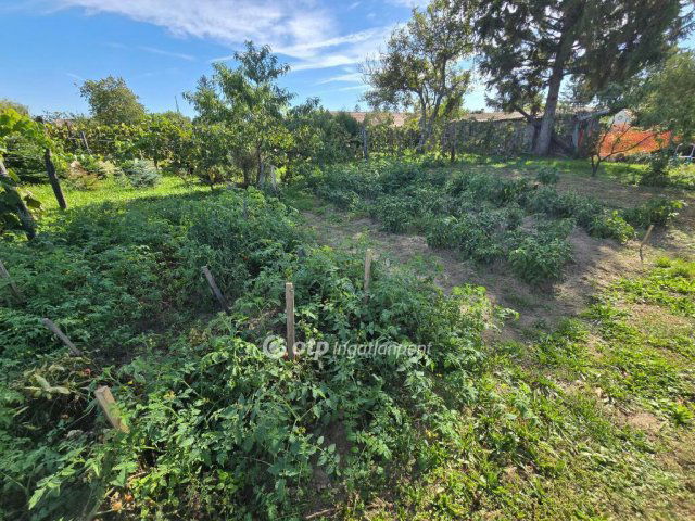 Eladó családi ház, Homokbödögén 49.9 M Ft, 4+1 szobás