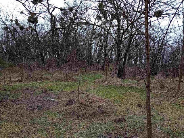 Eladó telek, Bakonygyiróton 14.5 M Ft / költözzbe.hu