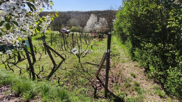 Eladó telek, Pellérden 1.9 M Ft / költözzbe.hu