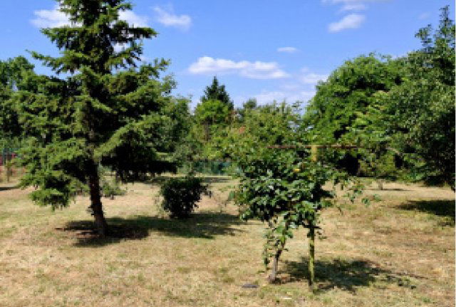 Eladó családi ház, Erdőkertesen 65.5 M Ft, 2 szobás