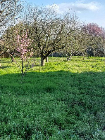 Eladó telek, Deszken 11.5 M Ft / költözzbe.hu