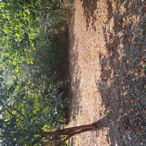 Eladó nyaraló, Nagykanizsán 8.5 M Ft, 2 szobás