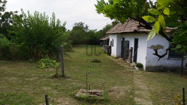 Eladó családi ház, Tiszaszőlősön 12 M Ft, 2 szobás